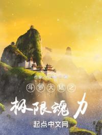 斗罗大陆之极限后